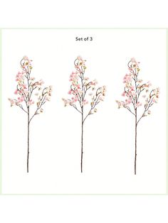 four different types of pink flowers on a white background with the words set of 3