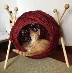 a cat sitting in a ball of yarn on top of a wooden stick chair with two legs