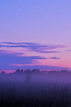 the sky is purple and pink as the sun sets in the distance with trees behind it