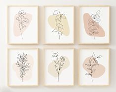 four framed art pieces with flowers in them on a white wall next to a potted plant