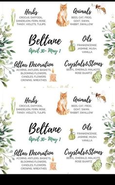 the names of different animals and plants on a white background, with green leaves around them