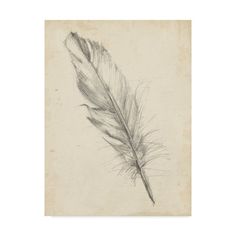 a drawing of a feather on a piece of paper