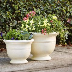 two white planters filled with colorful flowers