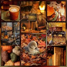 a collage of pictures with different things in the background and text that says autumn