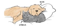 a drawing of a dog and cat sleeping together