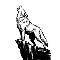 a black and white drawing of a wolf standing on top of a cliff looking up at the sky