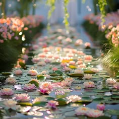 water lilies floating on top of a pond surrounded by greenery and pink flowers