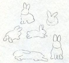 four drawings of rabbits on paper with one laying down and the other standing up in different positions