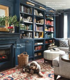 a dog laying on the floor in front of a book shelf with bookshelves