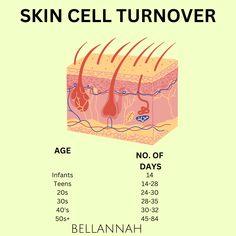 "The Science of Skin Cell Turnover and Aging! 📚🔬 As we age, our skin's renewal process changes. Stay ahead with an effective skincare routine to support healthy cell turnover and maintain that youthful glow! 🌟💧 #Skincare #AgingSkin #SkinCellRenewal #SkincareTips #YouthfulComplexion #HealthySkinJourney #BeautyFromWithin #SkincareRoutine #BeautyInspo #AgelessSkin #GlowingSkinTips" Skin Cell Turnover, Esthetics Education, Esthetician Education, Cosmetic Nurse, Esthetician School, Glow Skincare, Skin Facts, Esthetician Marketing, Mary Kay Skin Care