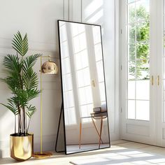 a large mirror sitting on top of a floor next to a potted plant