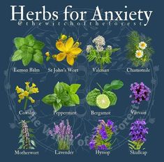 Medicinal Herbs Remedies, Dress Candles, Tea Love, Herbal Medicine Recipes, Medicinal Herbs Garden, Witch Herbs, Medical Herbs, Magic Herbs, Magical Herbs