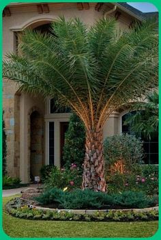 a large house with palm trees in front of it and the bjxs logo