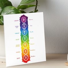 the seven chakras are arranged in rainbow colors on a white background art board