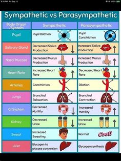 the different types of organ systems and their functions in human body, including lungs, livers