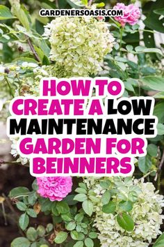 16 Tips For Creating A Low Maintainenance Garden Invasive Plants, Garden Help