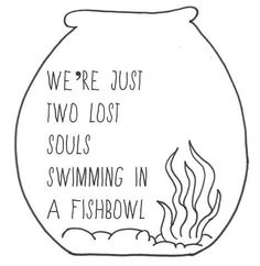 a fish bowl with the words we're just two lost souls swimming in a fishbow