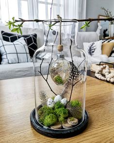 a vase filled with plants and rocks on top of a wooden table