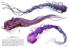 three different types of sea animals with long hair