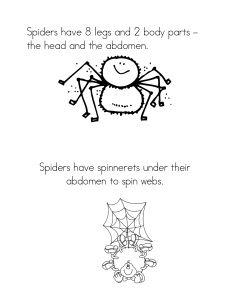 spiders have 8 legs and 2 body parts the head and the abdomen spiders under their abdomen to spin webs