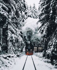 a train traveling through a snow covered forest