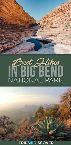 the best hikes in big bend national park