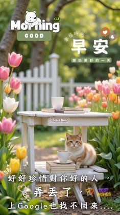 a cat sitting on top of a table in the grass next to flowers and trees