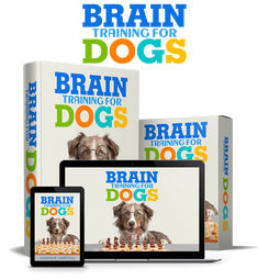 the book brain training for dogs is displayed on an ipad and tablet