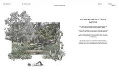 an image of a website page with trees and plants