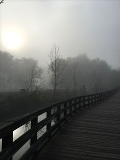 a foggy day on a wooden bridge over water