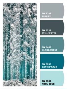 the color scheme is blue, green and grey with white trees in the background for this winter