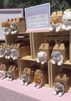 there are many stuffed animals on display at this event, including cats and kittens