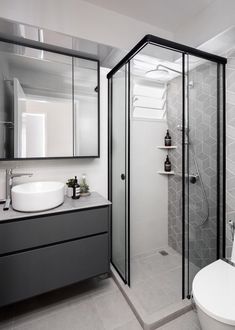 a white toilet sitting next to a walk in shower under a bathroom mirror above a sink