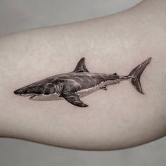 a black and white photo of a shark tattoo