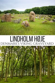 an image of a field with trees and rocks in the background that reads lindham house demmark's viking graveyard