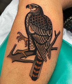 an eagle sitting on a branch with a snake in its talon tattoo design by person