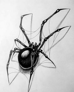 a black and white drawing of a spider