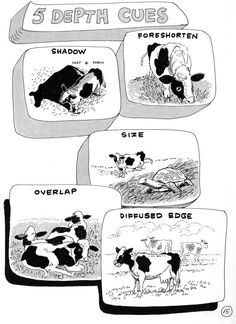 the five different types of cows are shown in black and white