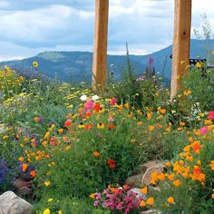 an outdoor garden with flowers and rocks in the foreground, mountains in the background