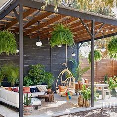 an outdoor living area with potted plants on the roof and hanging chairs in the back