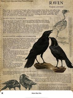 two black crows sitting on top of a piece of paper with words written in it