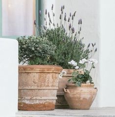 two large pots with plants in them sitting on the ground next to a window sill