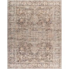 an antique style rug with faded colors and patterns on the edges, in neutral tones