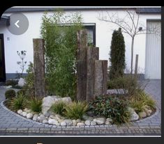 a garden with rocks and plants in front of a house