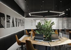 an office with desks, chairs and plants on the tables in front of them