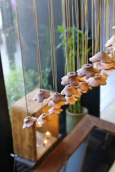 a group of mushrooms hanging from strings next to a potted plant