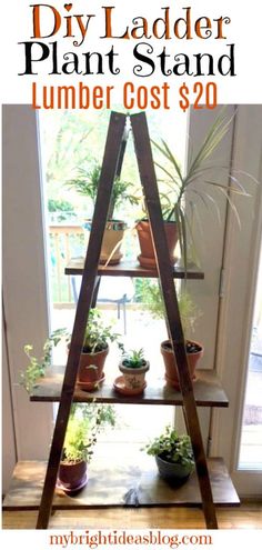 a diy ladder plant stand with plants on it and text overlay that reads, diy ladder plant stand lumber cost $ 20