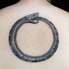 a snake tattoo on the back of a man's upper arm and shoulder,