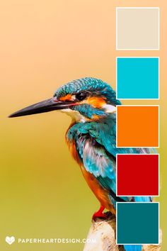 a colorful bird sitting on top of a tree branch with color swatches in the background