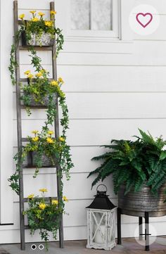 a potted plant sitting on top of a metal stand next to a white door